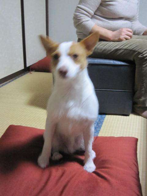 0ywar_180508_0011