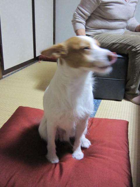 0ywar_180508_0013