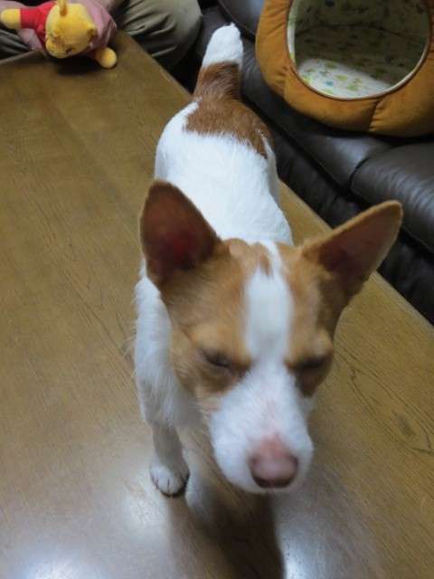1year_180508_0025