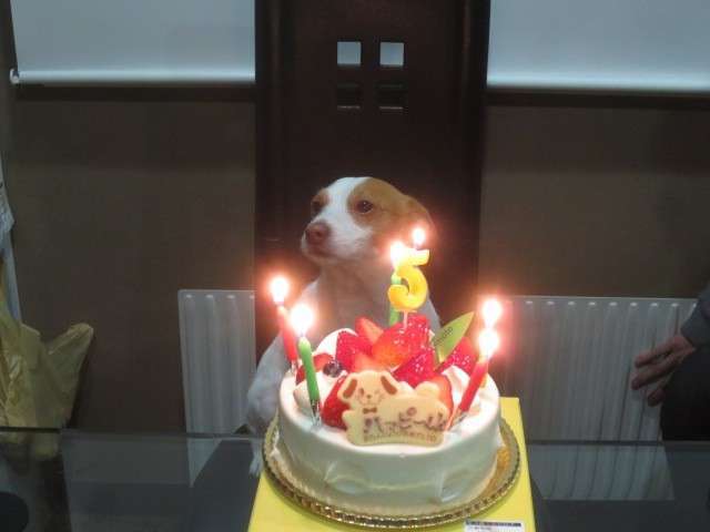 5year_180508_0012