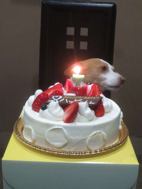 7years_180508_0007